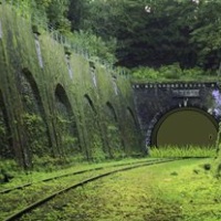 Abandoned Forest Train Route Escape