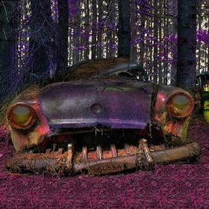 Abandoned Cars in Forest Escape