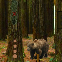 Bear Forest Escape Game