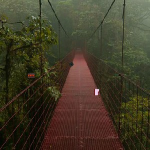 Escape from Monteverde Cloud Forest Reserve