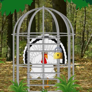 Escape White Turkey from Green Forest