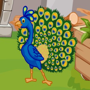 Peacock Escape