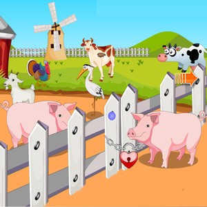 Pig Escape From Farm