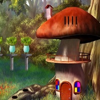 Amanita Mushroom Forest Escape Game