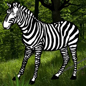 Zebra Rescue