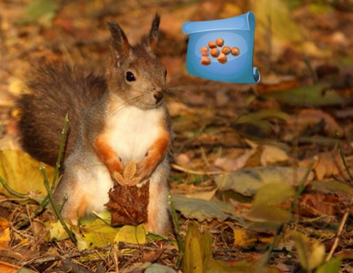 Magical Autumn Forest Adventure