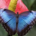 Rainforest Adventure