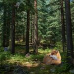 The Forgotten Forest